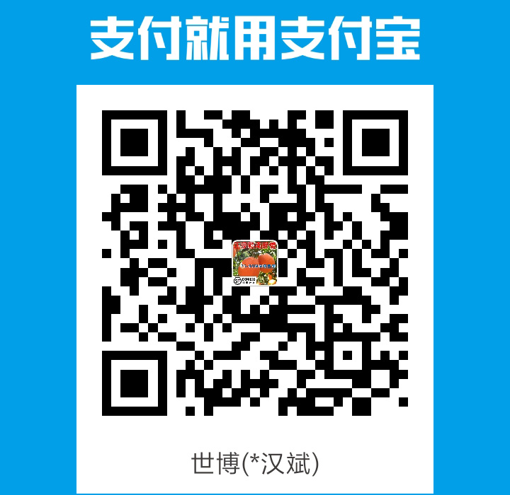 alipay receipt code